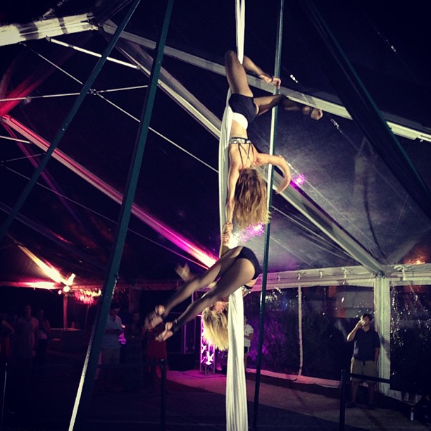 aerialists